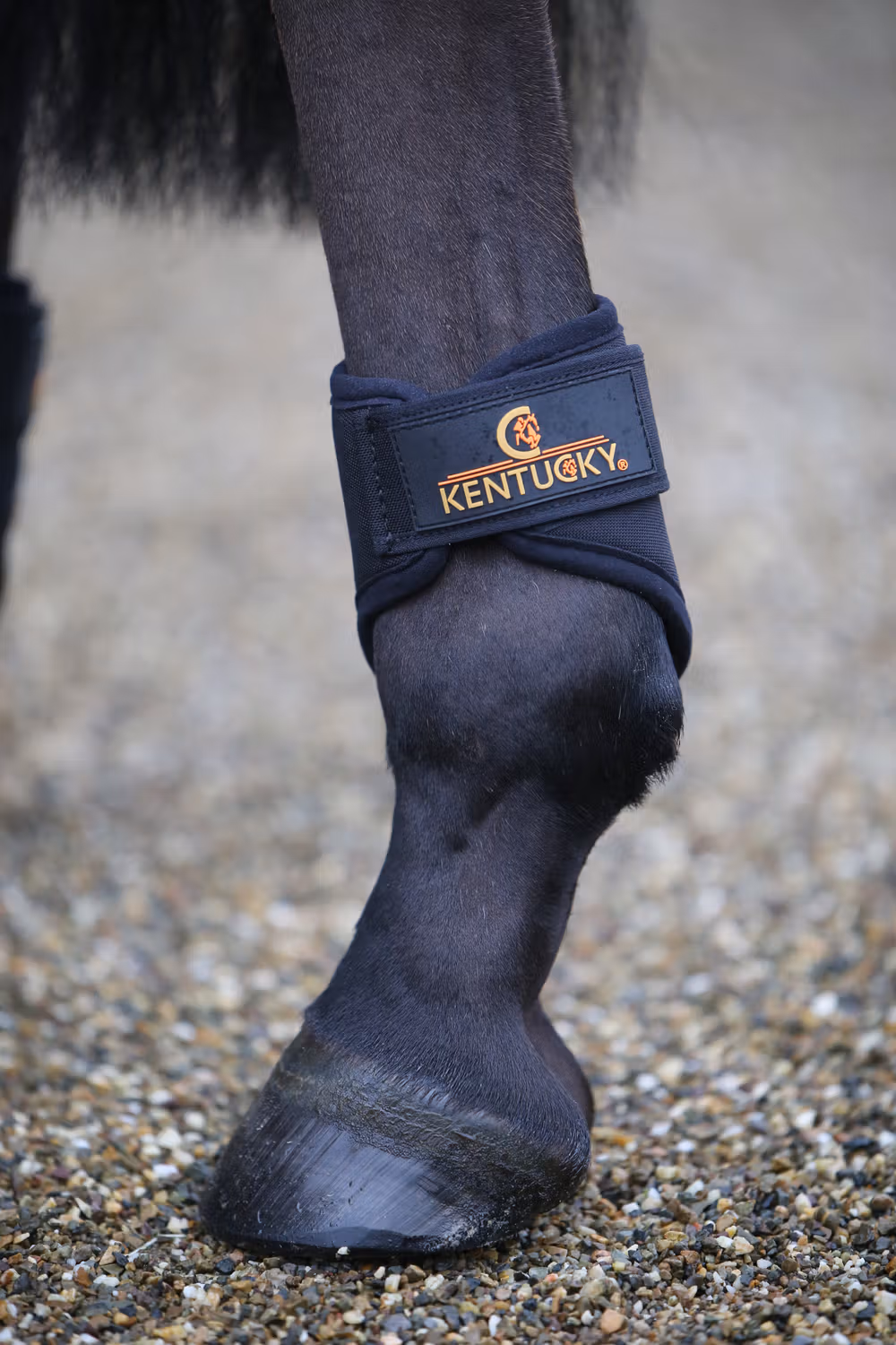 Turnout boots 3D spacer black short