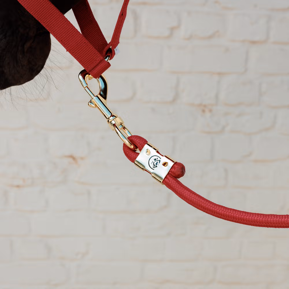 Lead rope basic red 2m