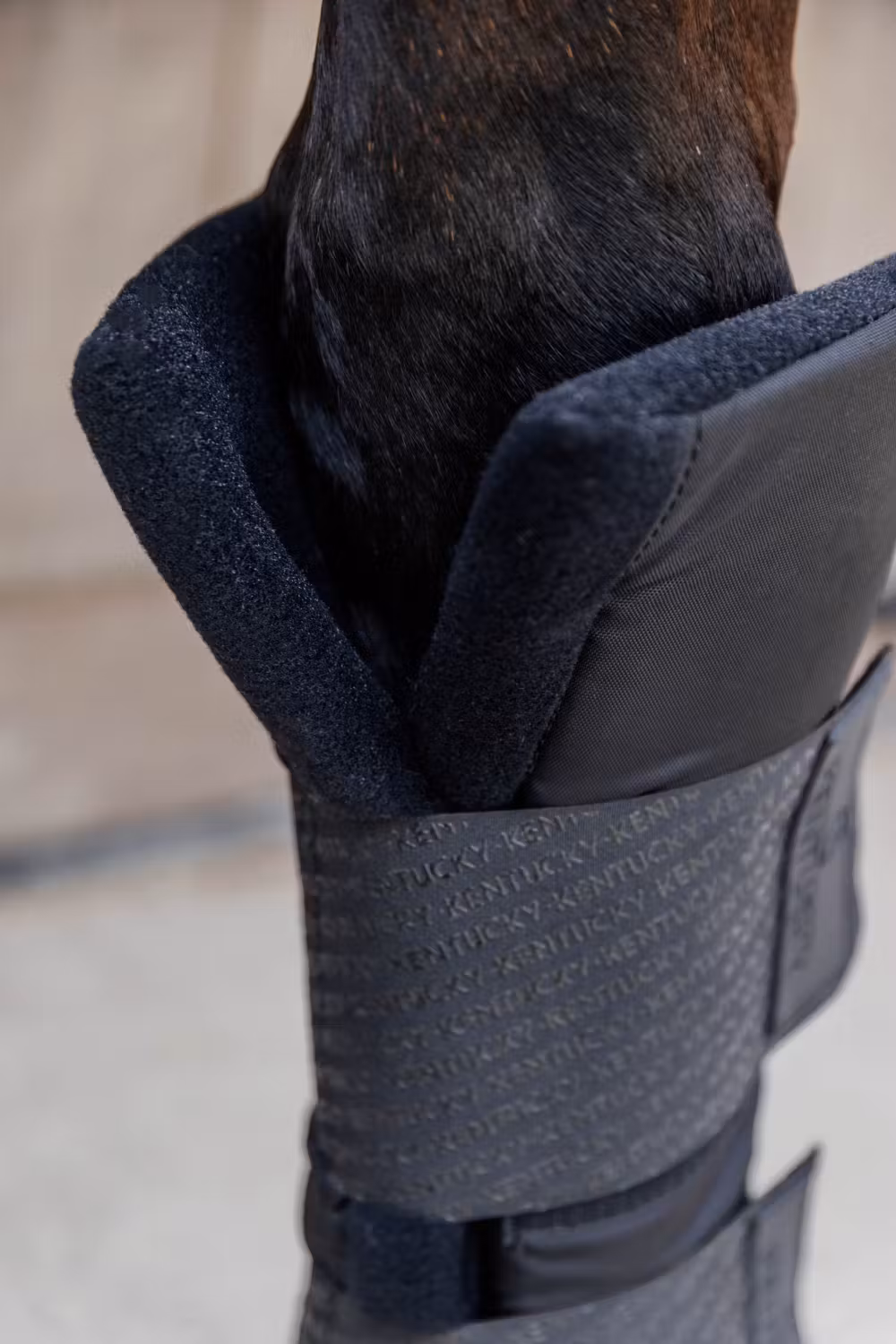 Stable boots PROtect long front black size S