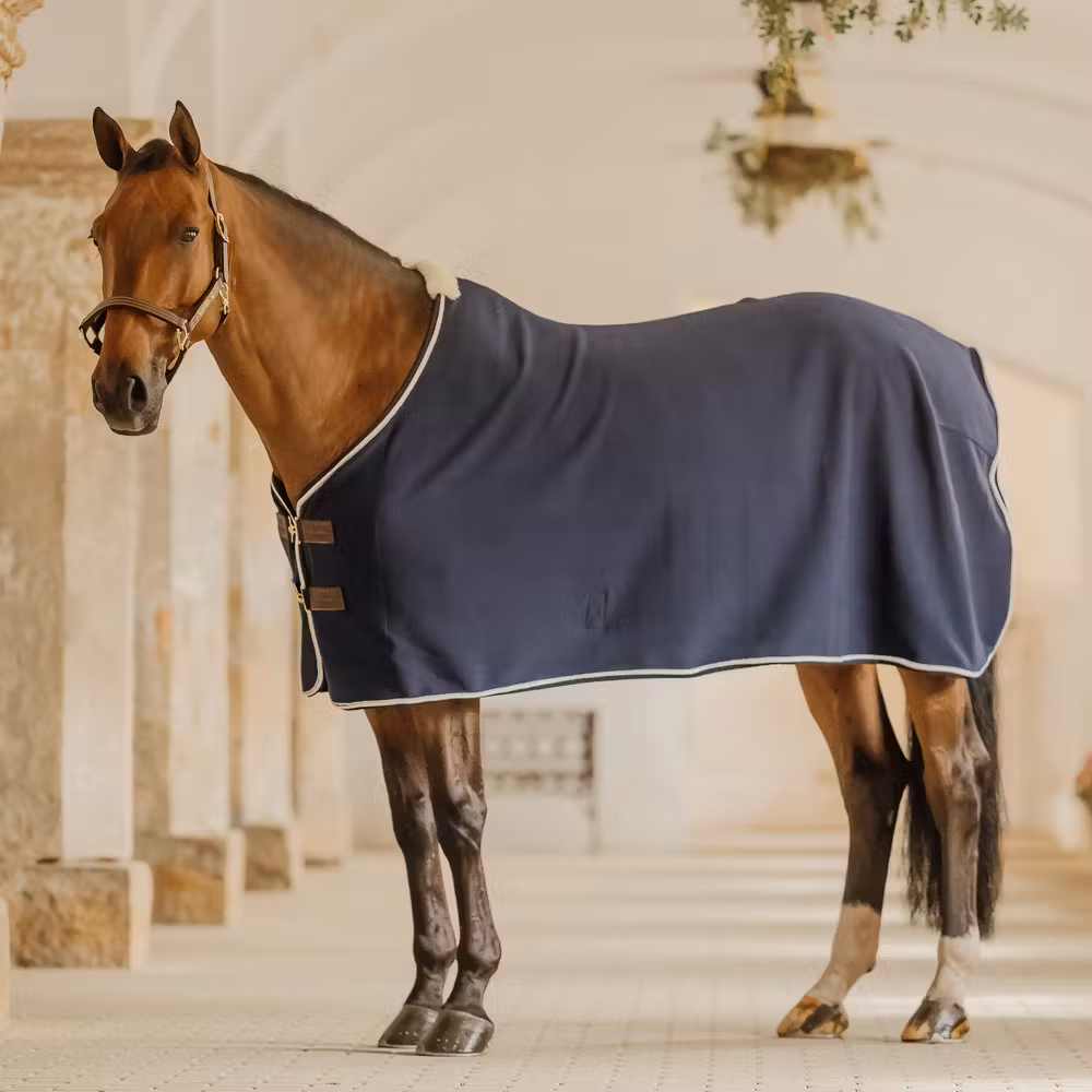 Fleece rug show vegan wool navy 125-5'9