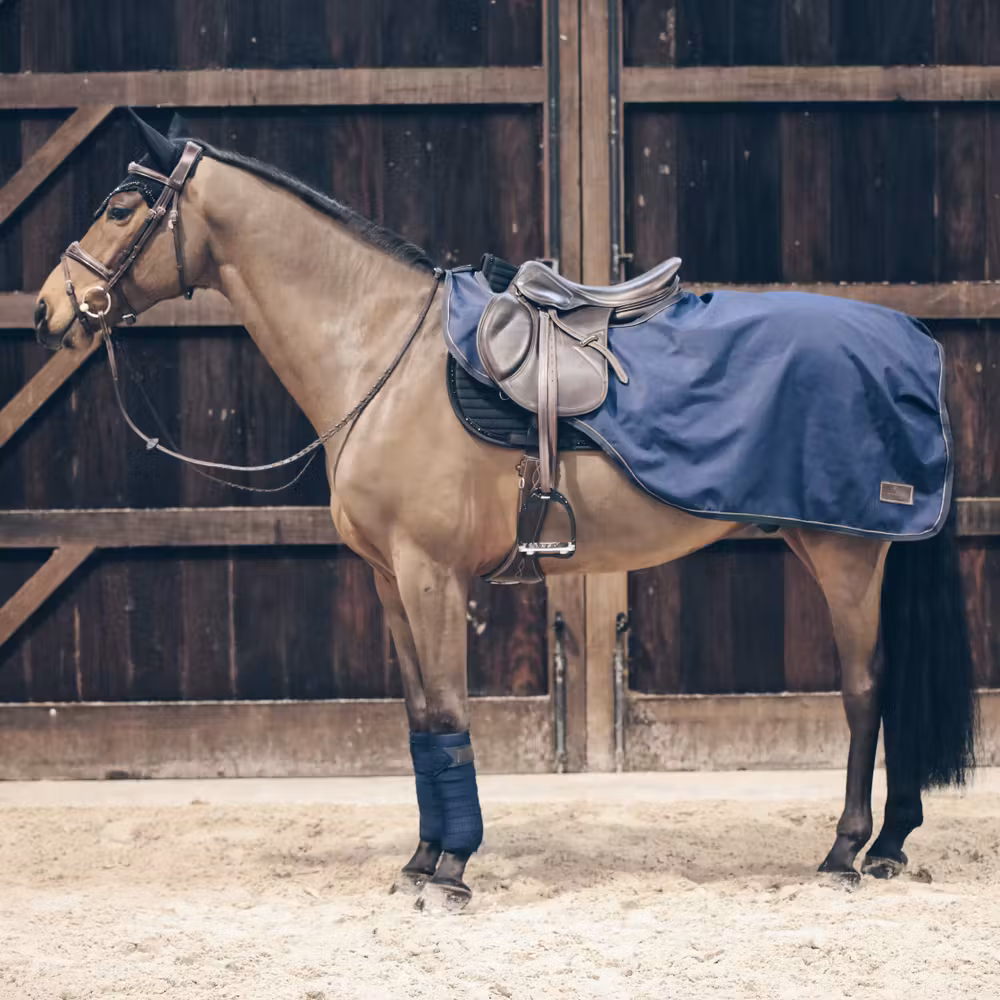 Riding rug all weather navy 160 gram large