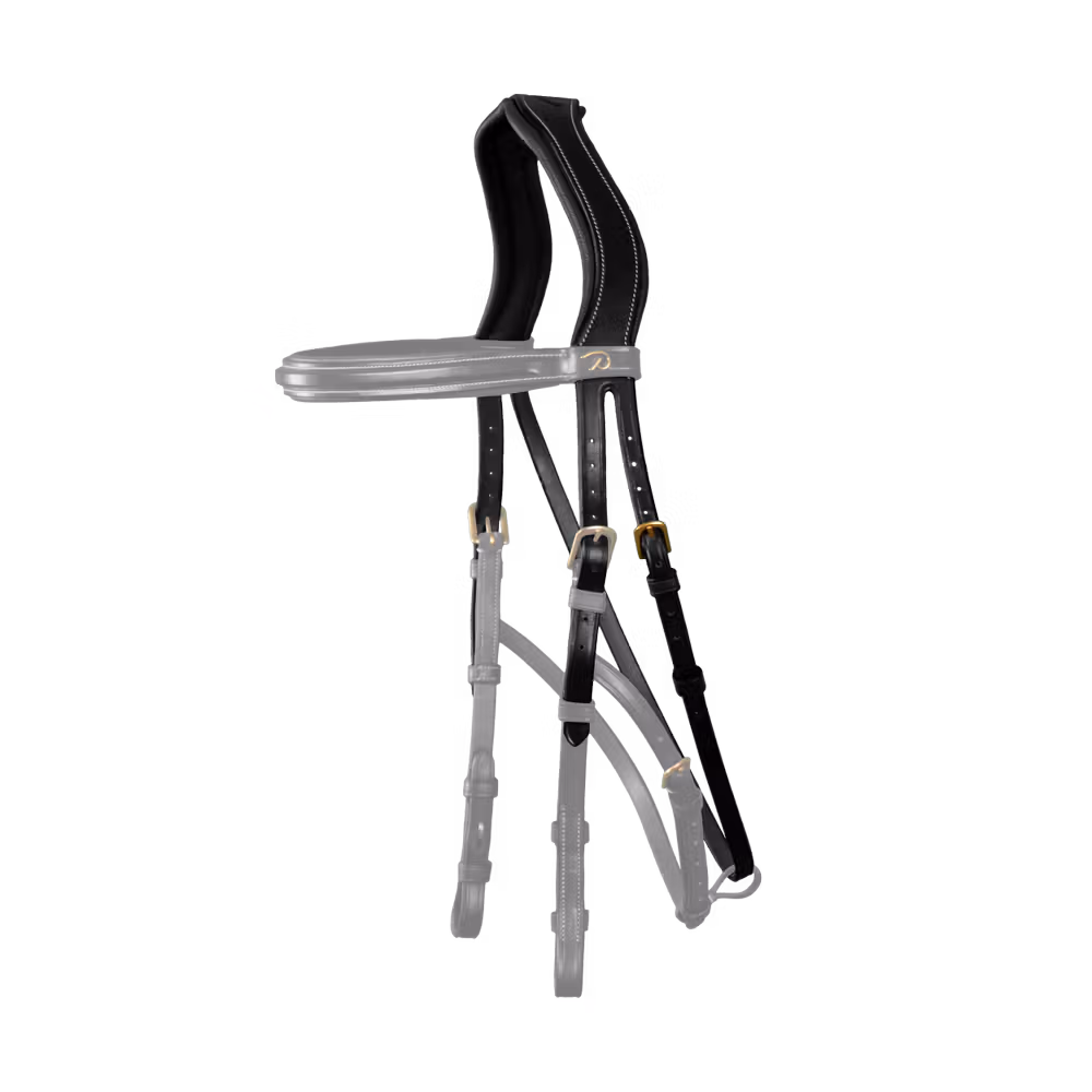 Hackamore Headpiece