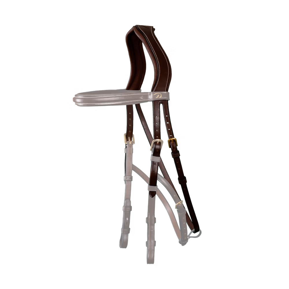 Hackamore Headpiece