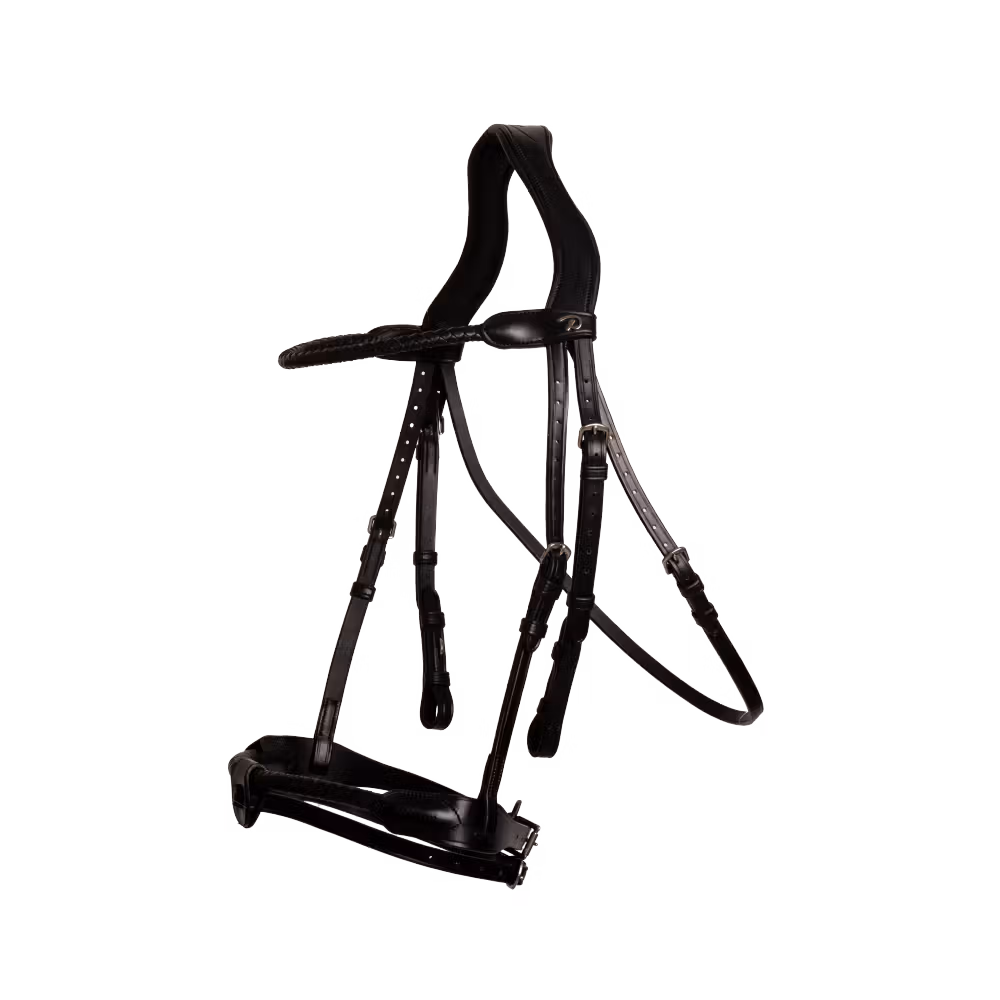 Braided Noseband Bridle with Removable Flash