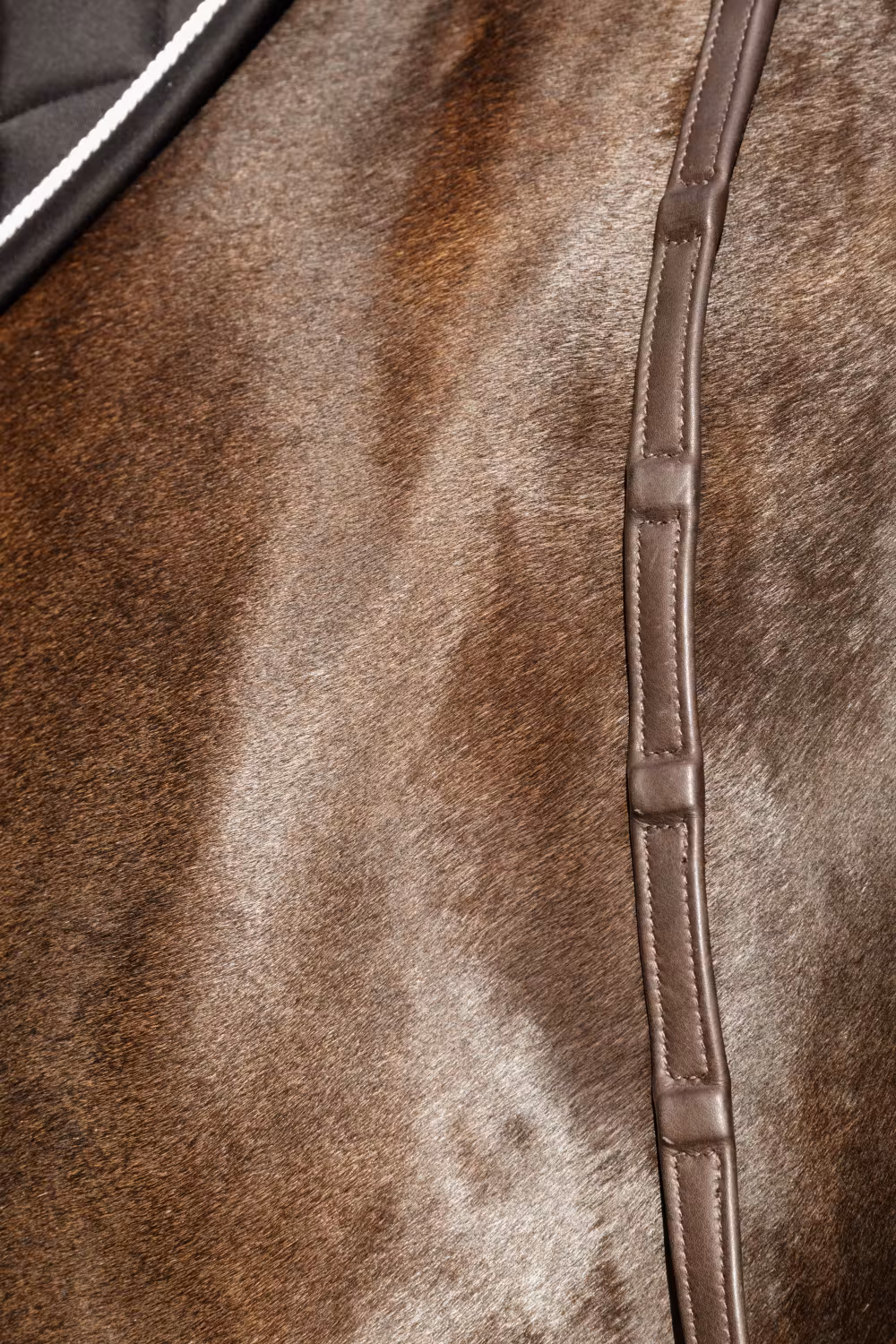 Reins 1/2 in Soft leather with 8 integrated stops Brown Full