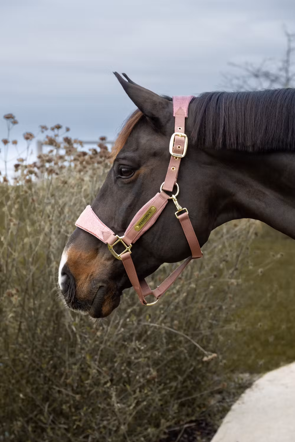 Velvet halter unicorn glitter old rose cob