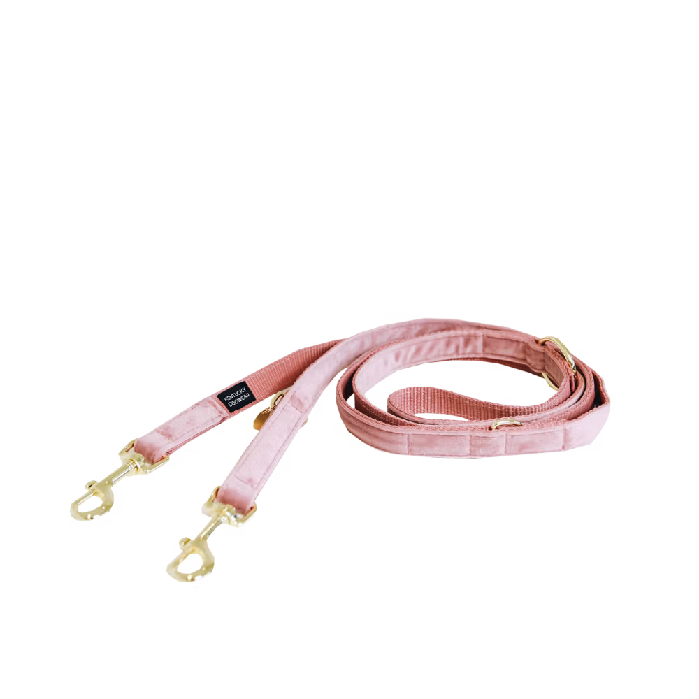 Dog lead velvet black size S 2m