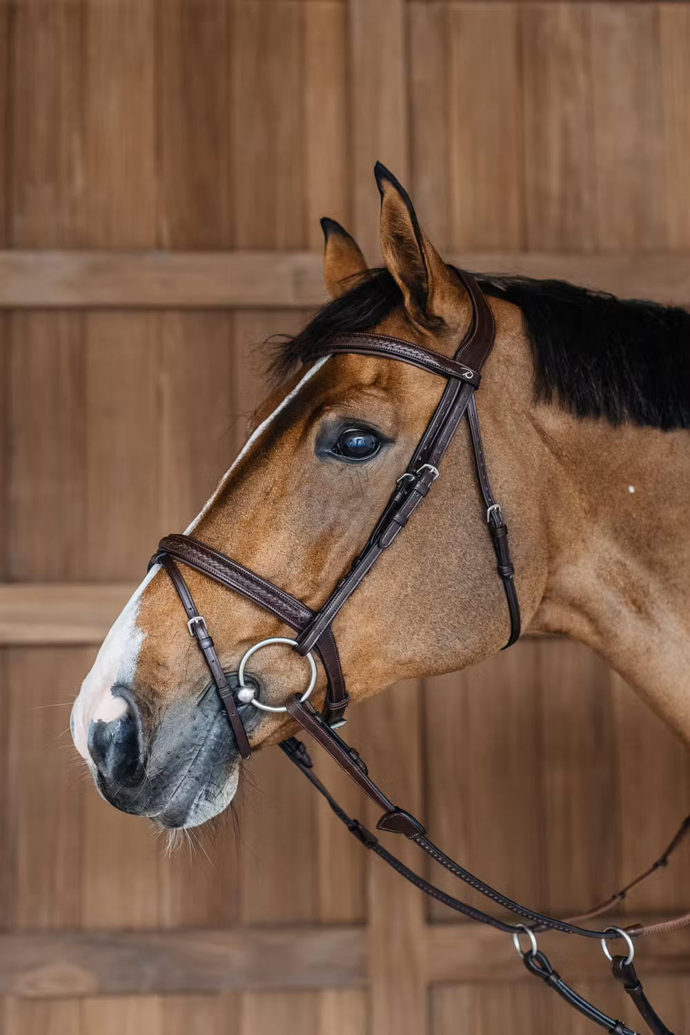 Plaited Flash Noseband Bridle Brown Full NE