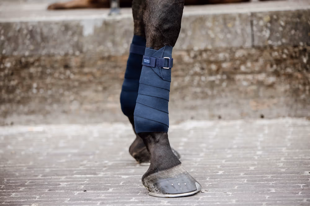 Elastic bandage navy