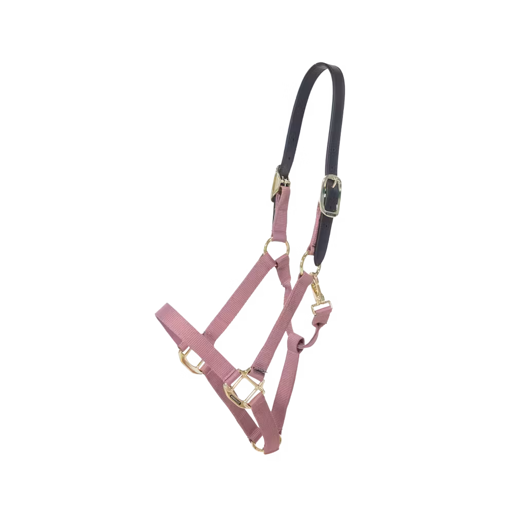 Nylon halter Breakaway old rose Shetland Pony