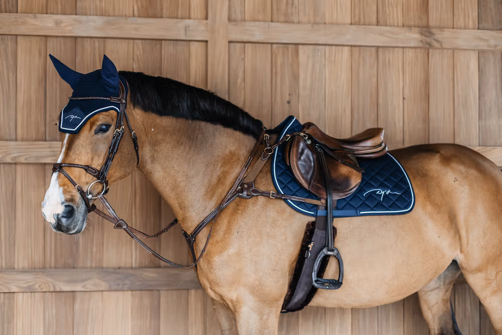 5 points breastplate with elastic Brown Full D