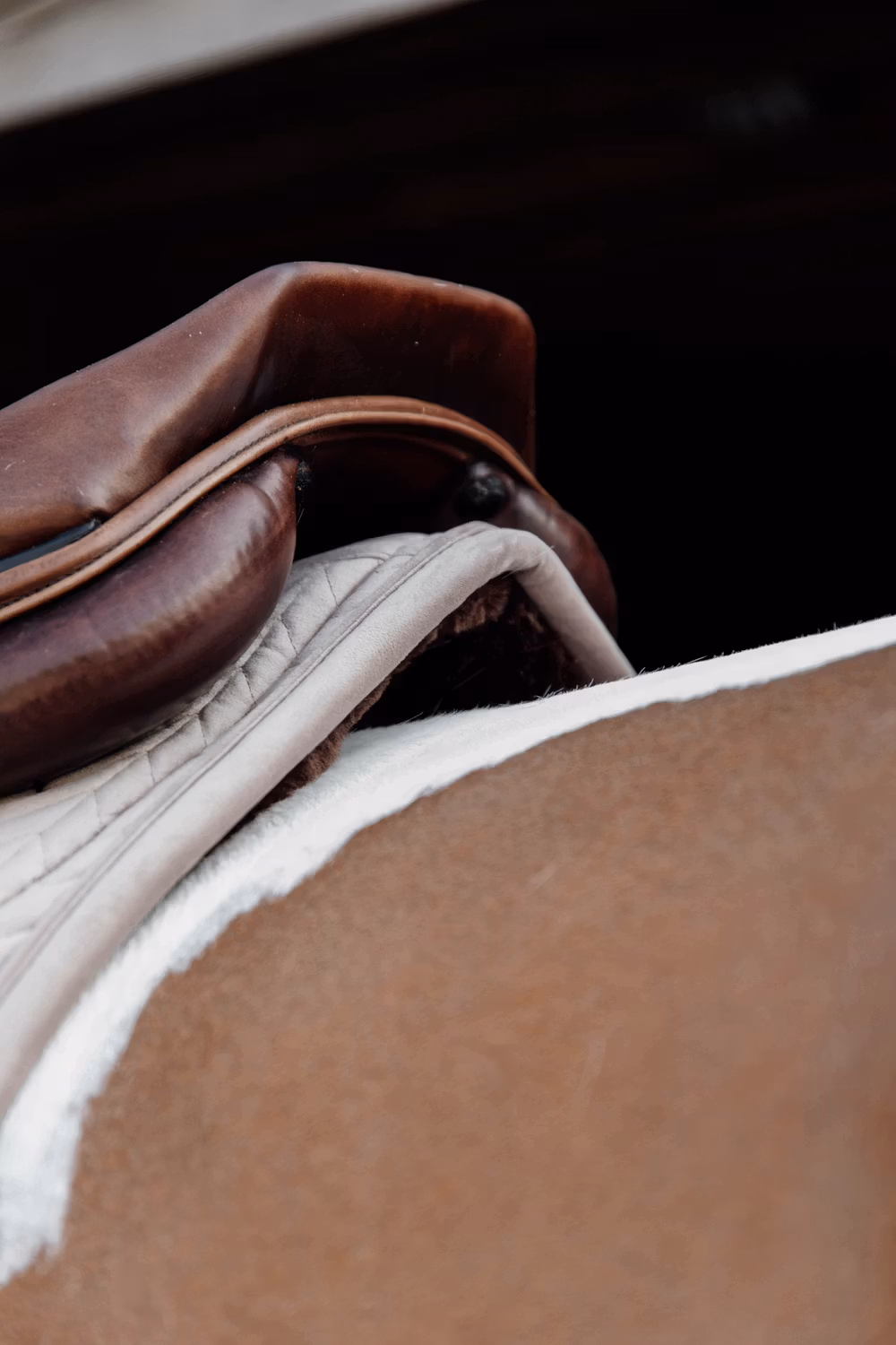 Skin Friendly Saddle Pad velvet jumping beige