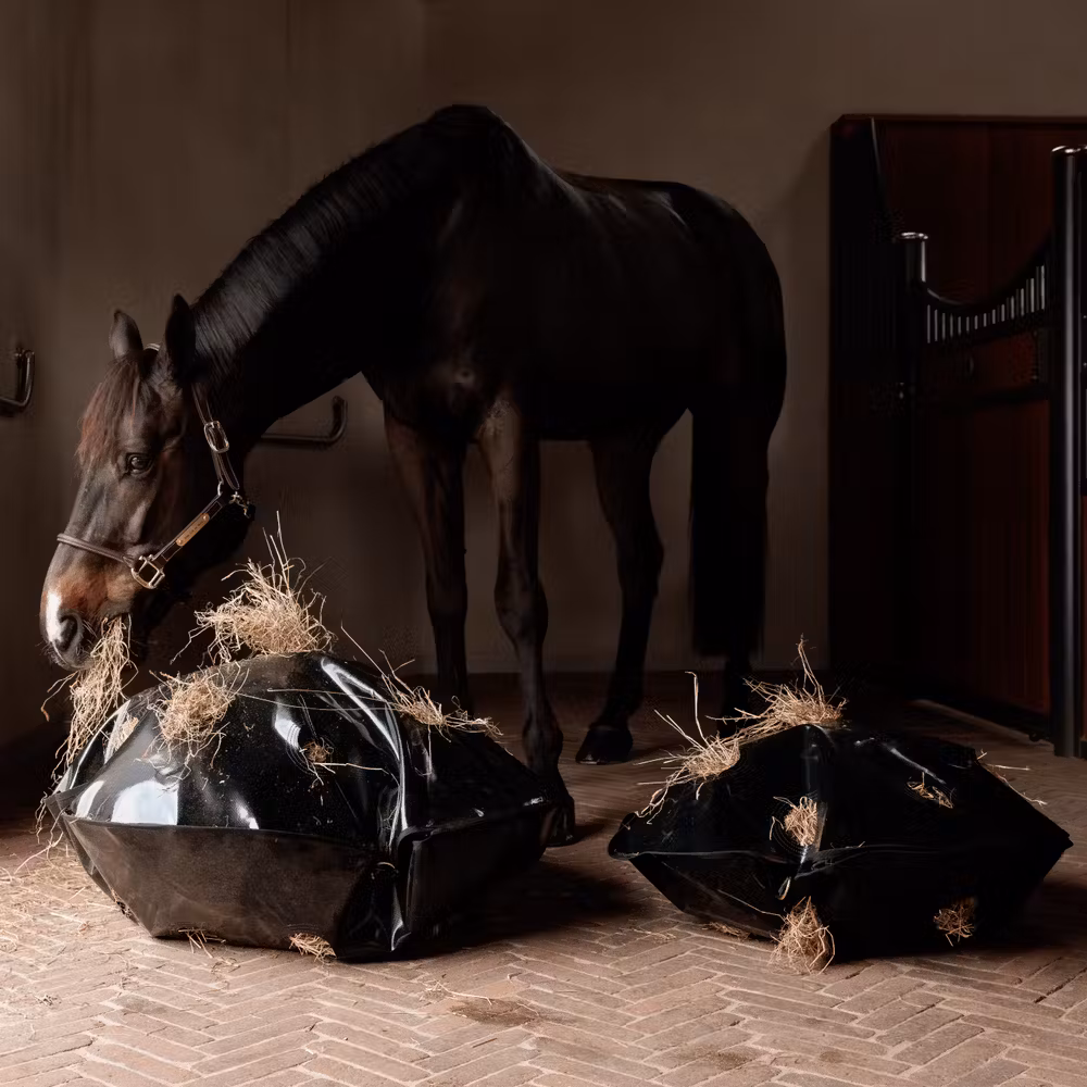 Play & Haybag slowfeeder round size XL 110cm