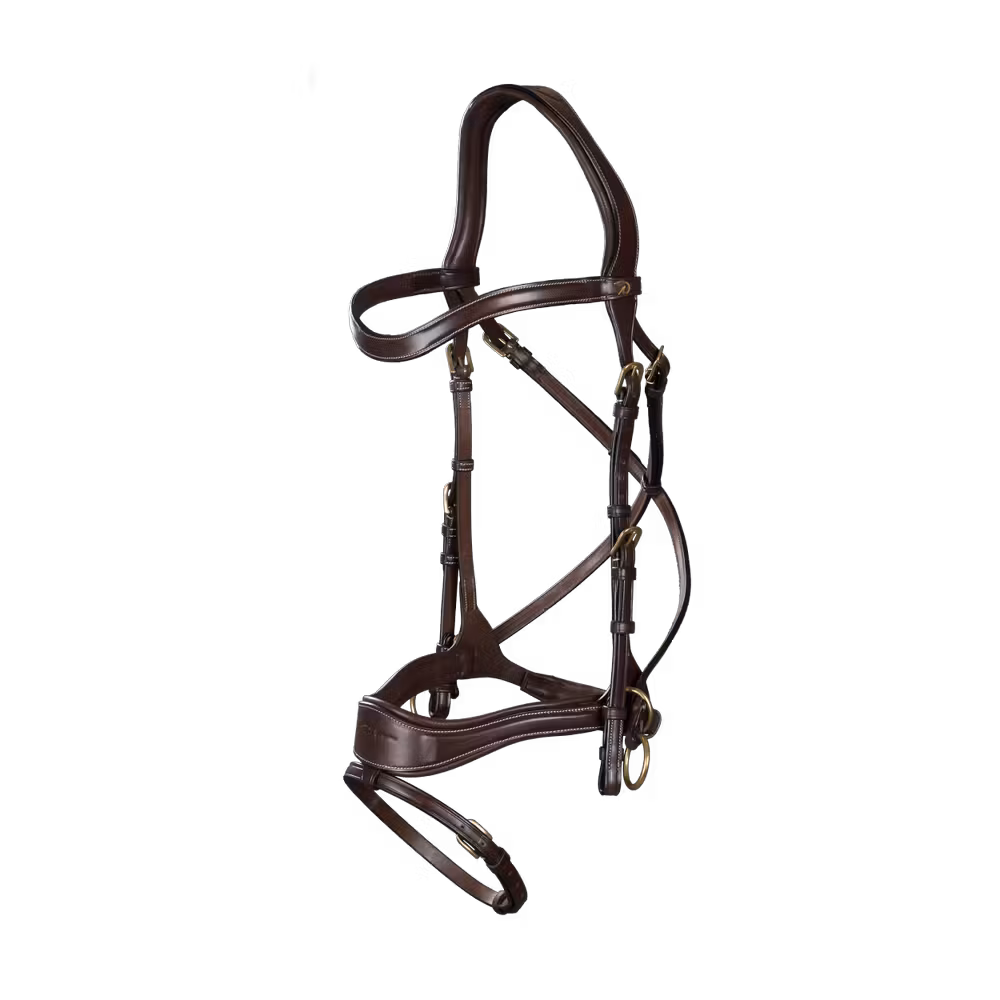 D Motion Bridle