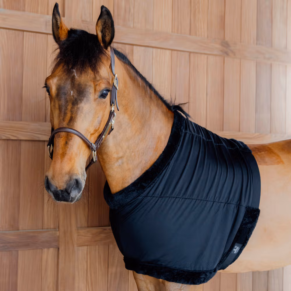 Chest protection black size L