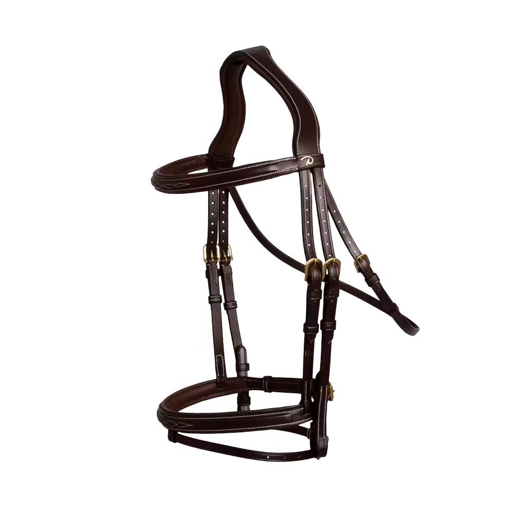 Flash Noseband Bridle