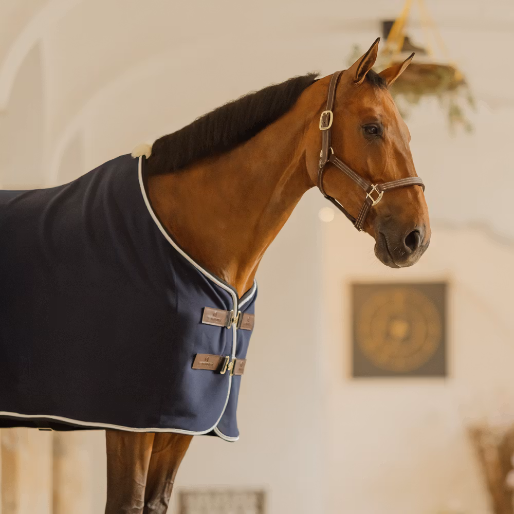 Fleece rug show vegan wool navy 125-5'9