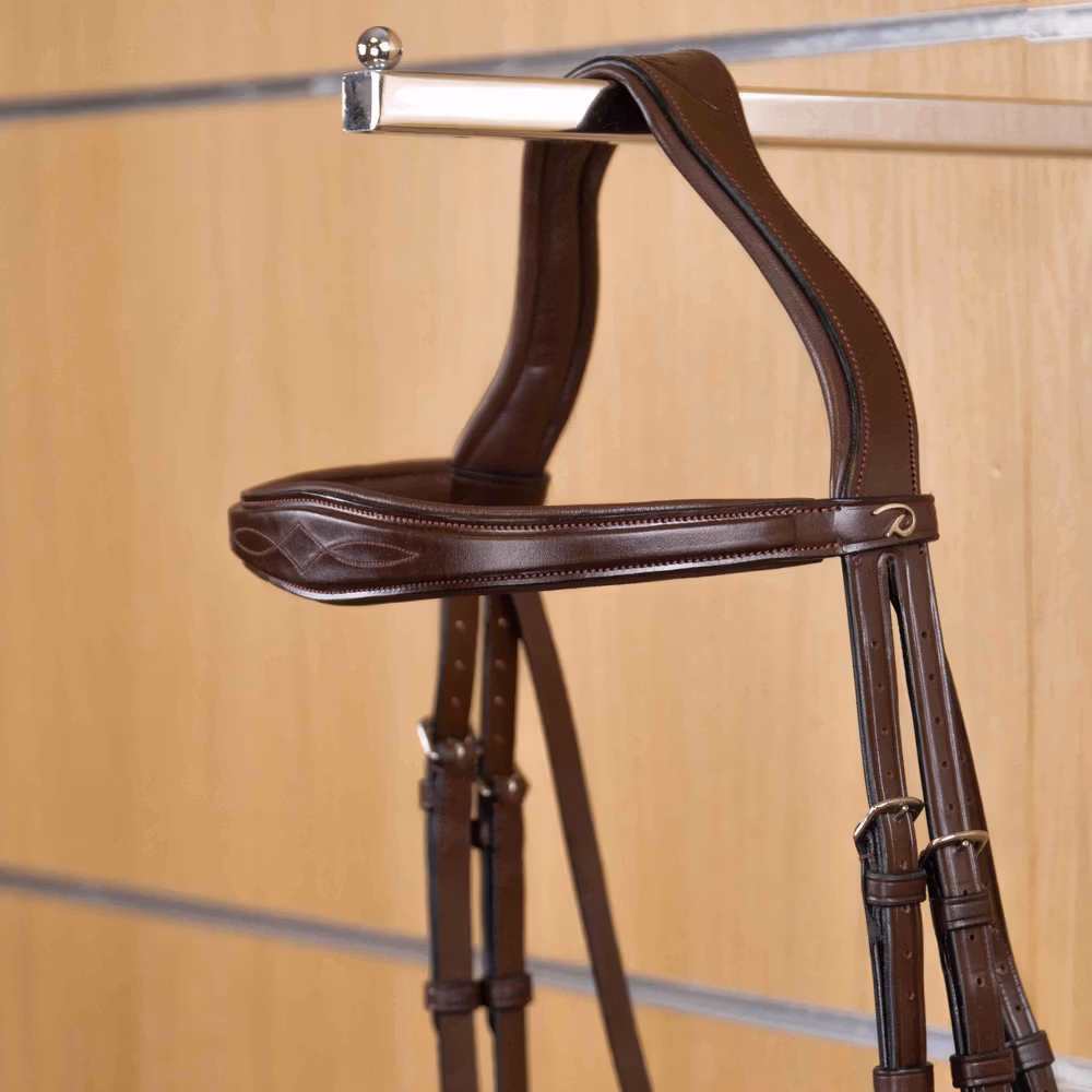 Anatomic Browband
