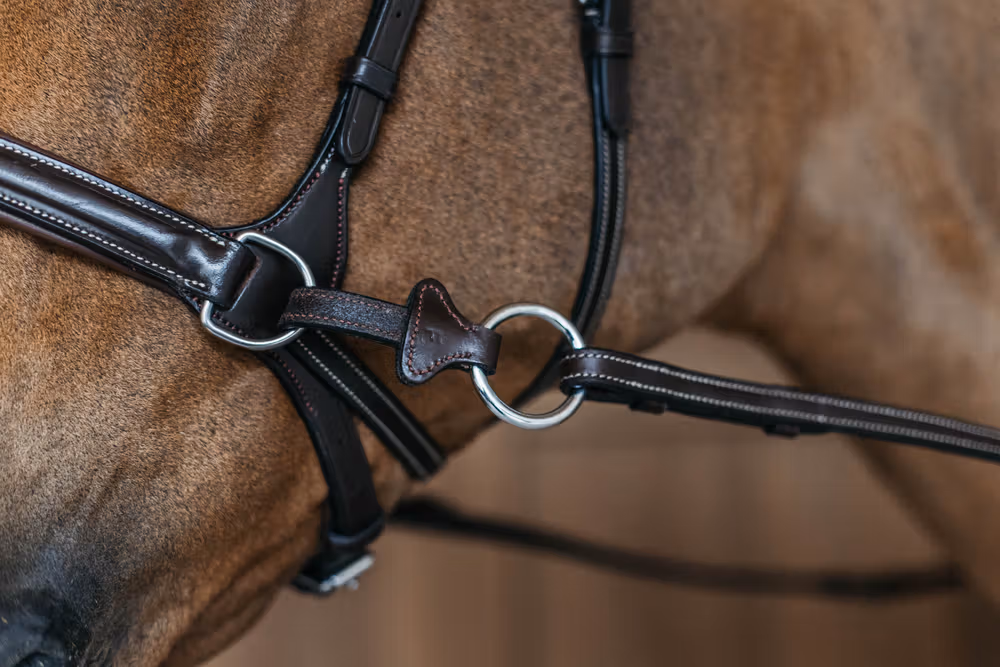 Working Motion Bridle Brown Full WBD