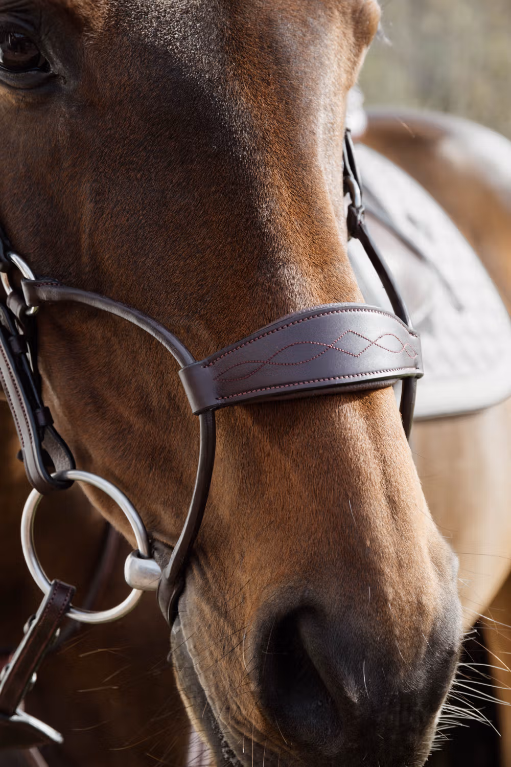 Hybrid bridle NE coll, Full/brown