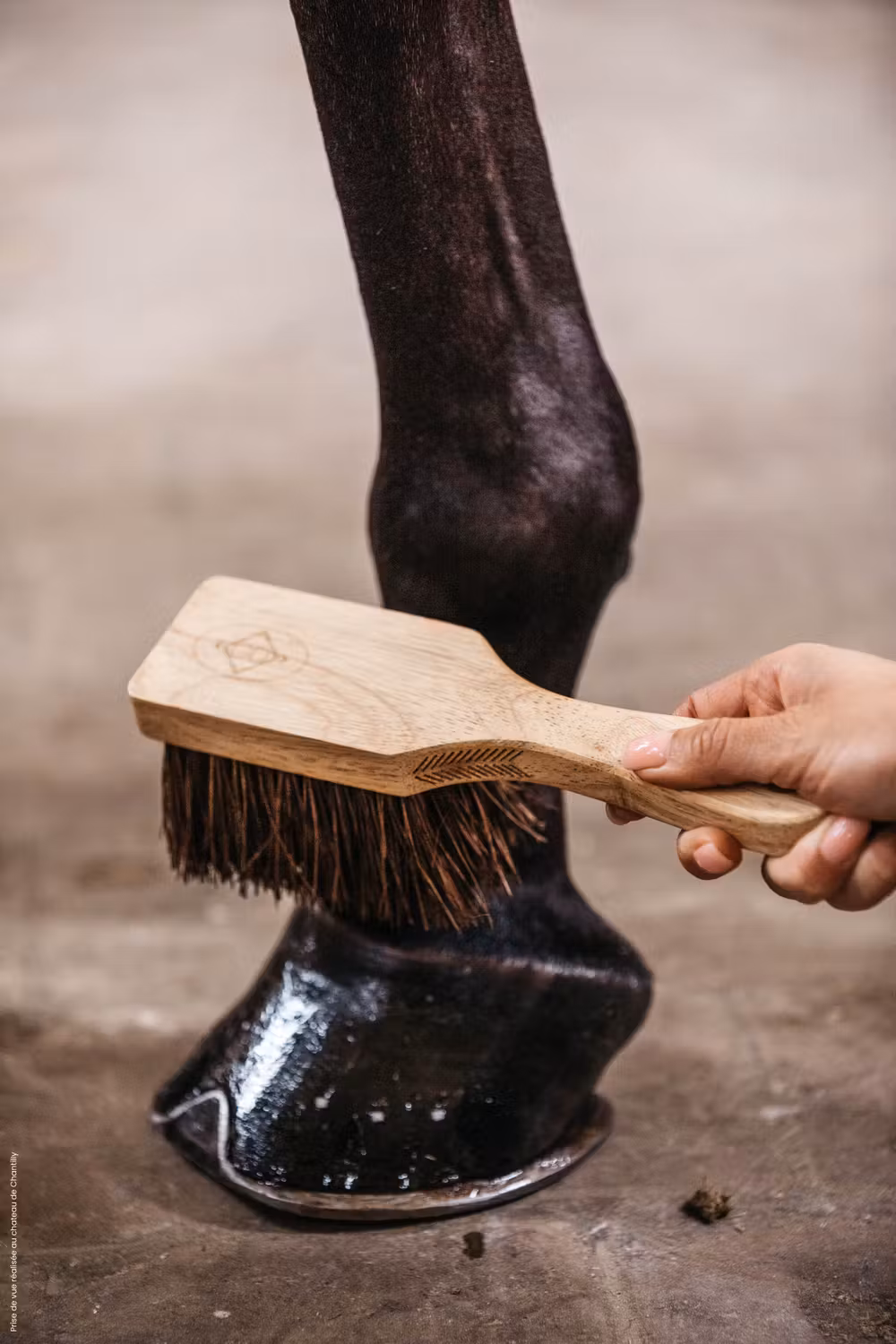 Hoof brush