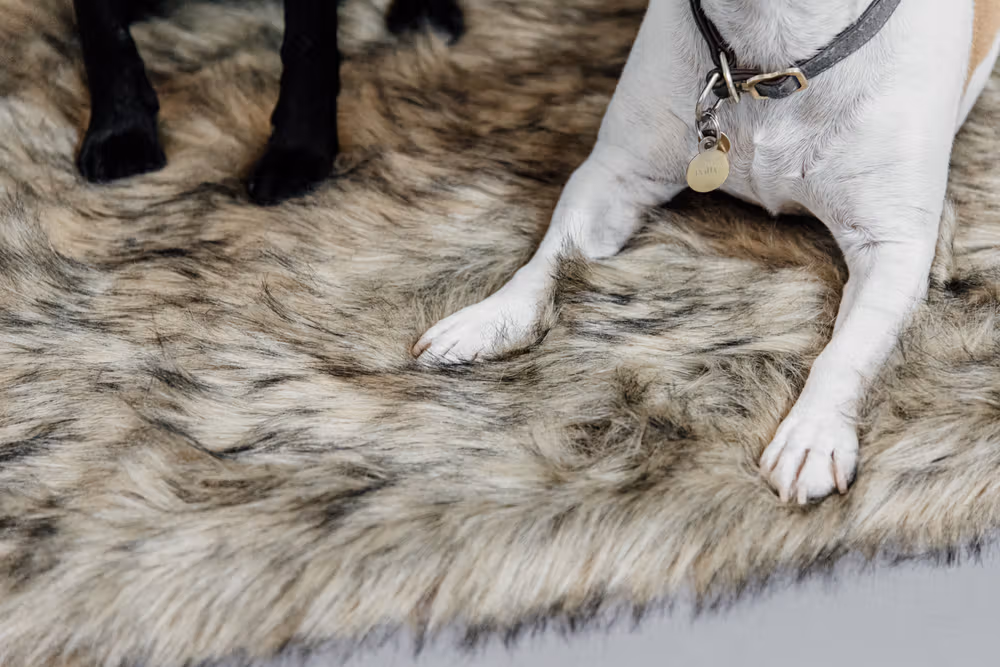 Dog bed to go blanket FUZZY,S 80x60cm