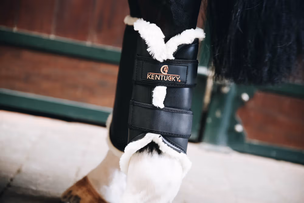 Turnout boots leather black hind