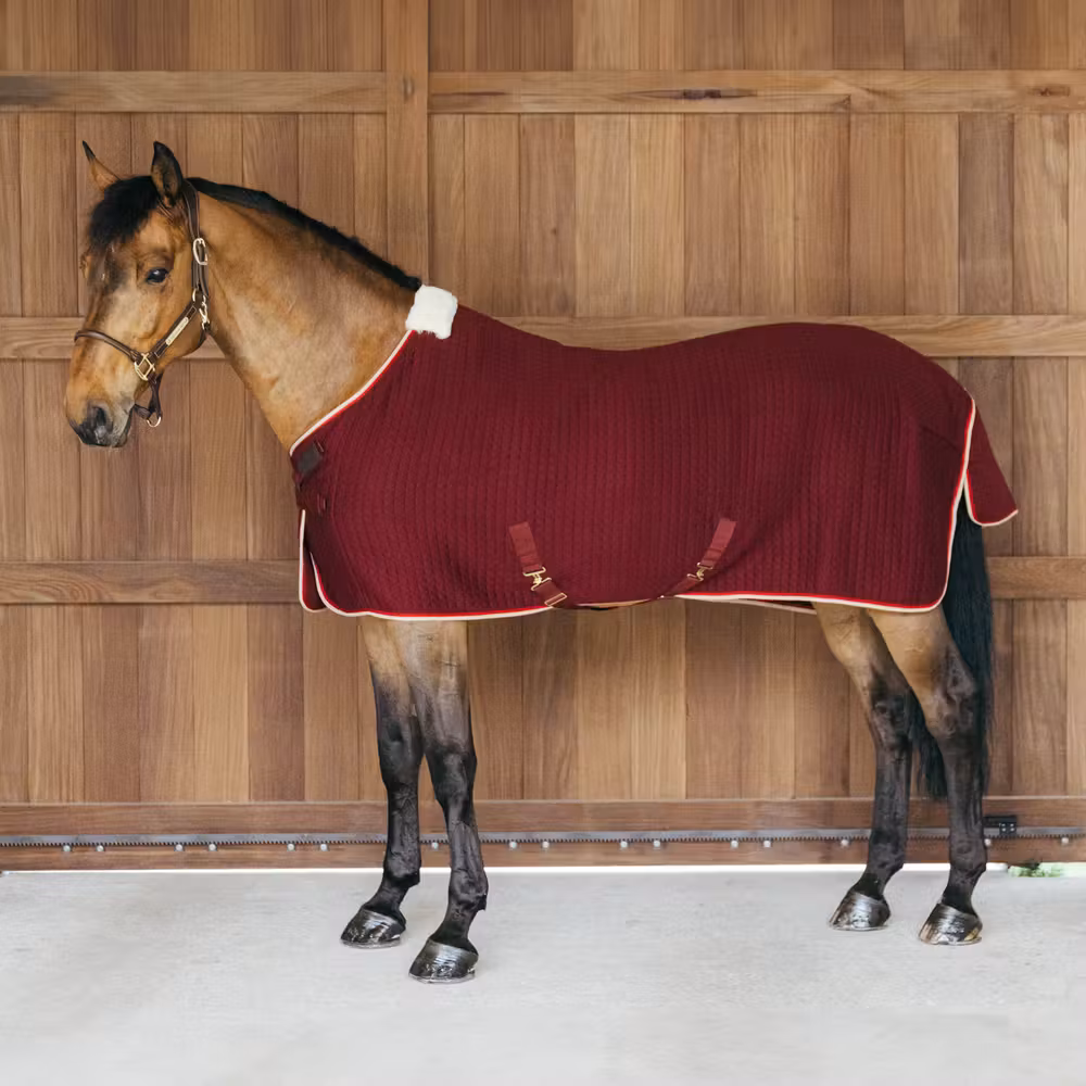 Cooler rug PROTherm bordeaux 145-6'6