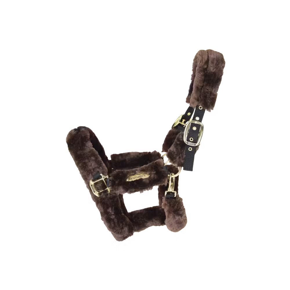 Sheepskin Shipping Halter natural Pony