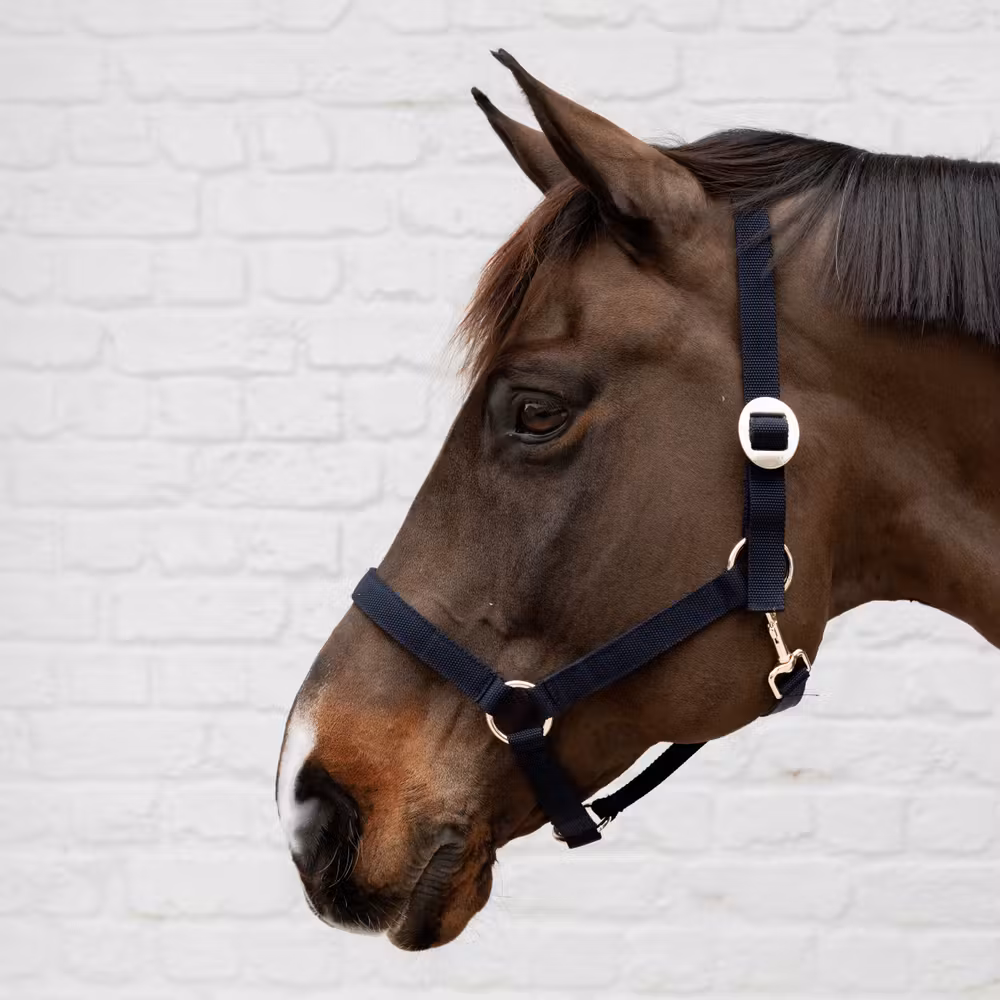 Nylon halter navy Full