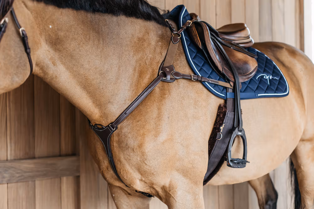 5 points breastplate with elastic Brown Full D