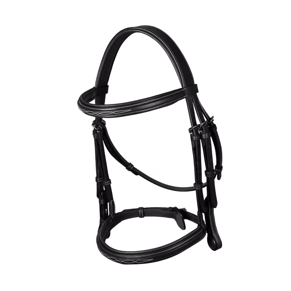 Cavesson Noseband Bridle