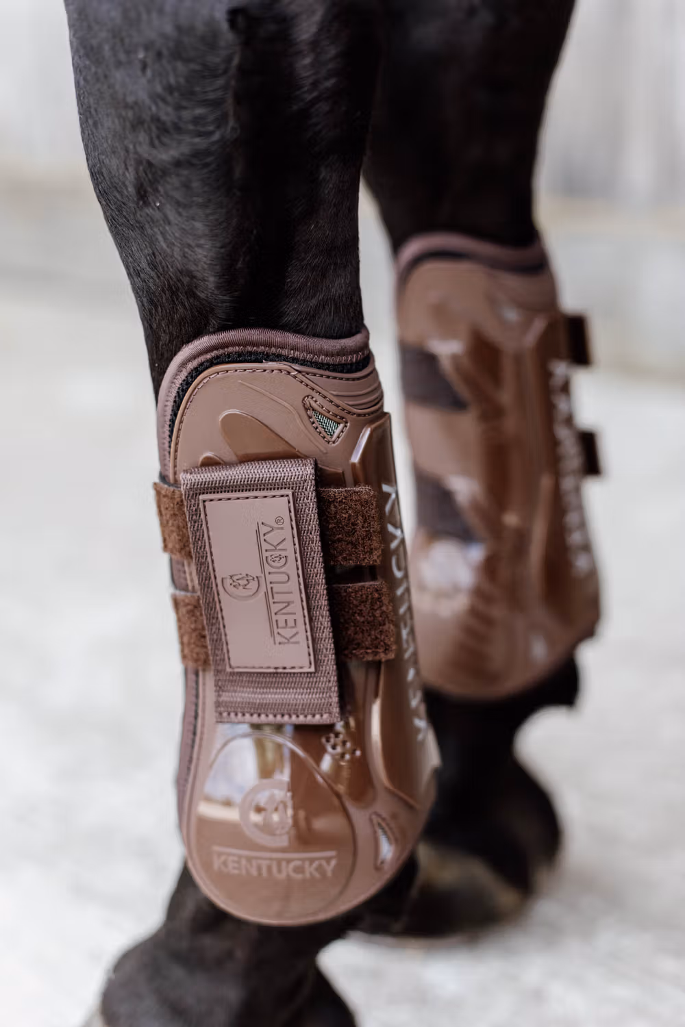 Tendon Boots Velcro brown M