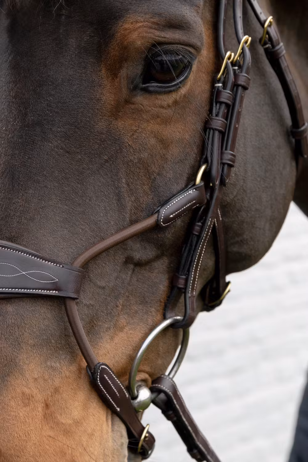 Elastic hybrid noseband DY coll, Full/brown