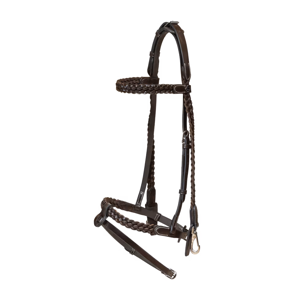 Plaited Training Bridle