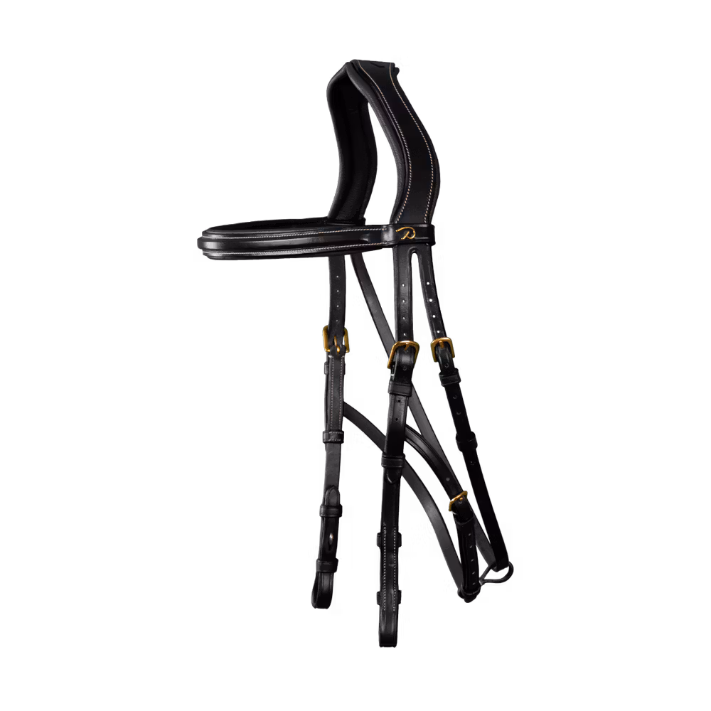 Hackamore Bridle