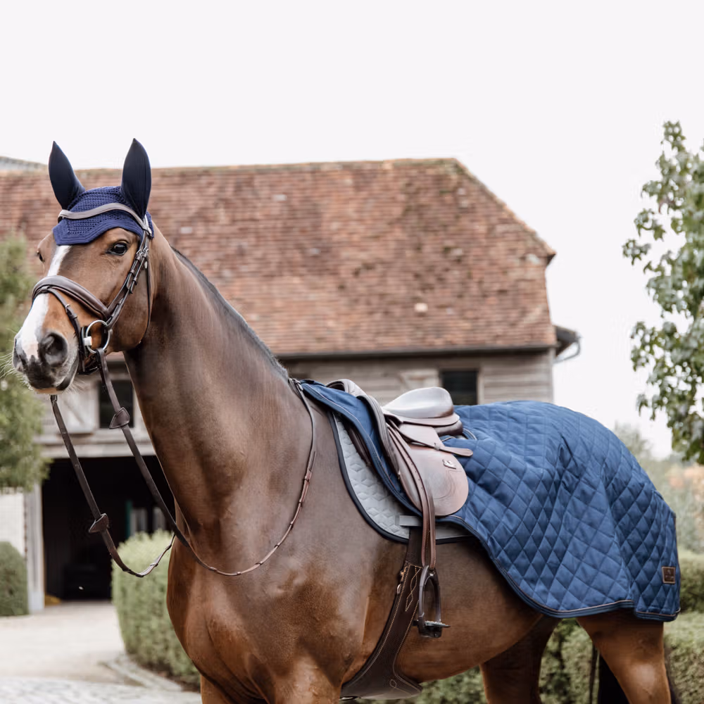 Riding rug navy 160 gram large