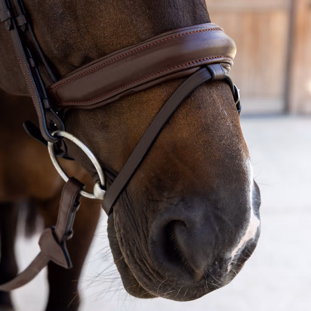 Bridle Medium noseband soft leathersoft coll Full/brown