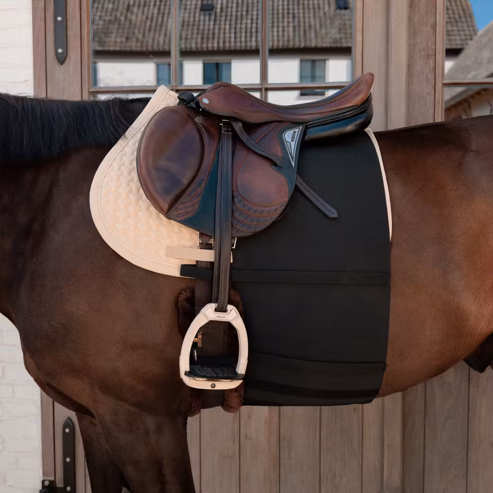 Belly band horse Full black