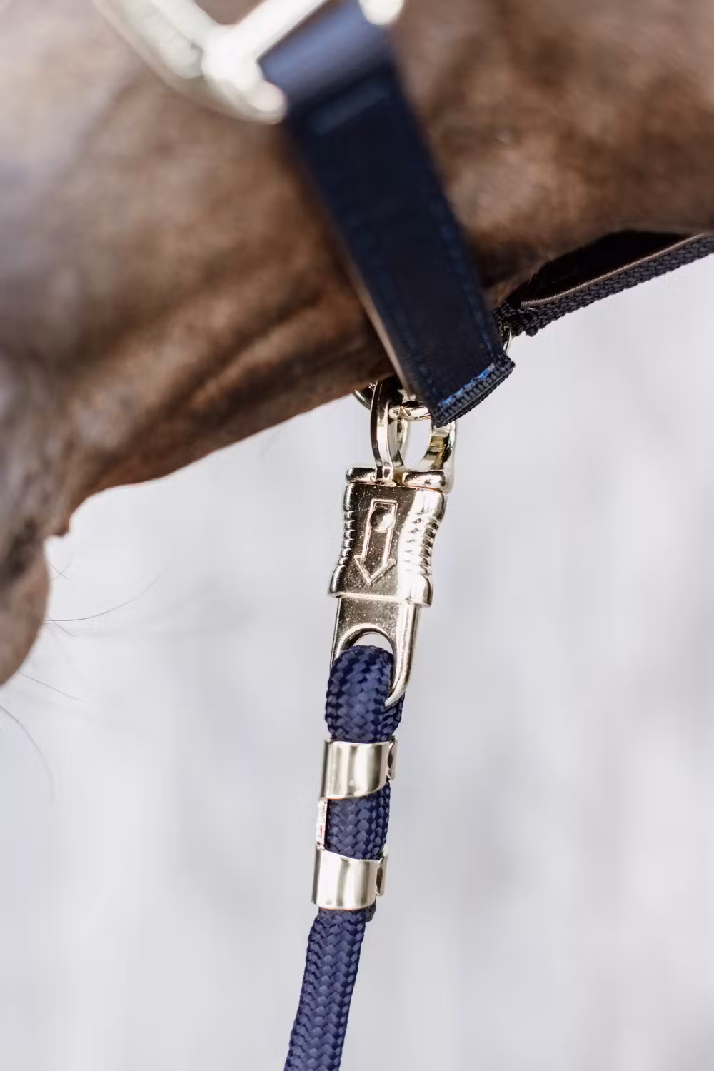 Lead rope panic hook navy 2m