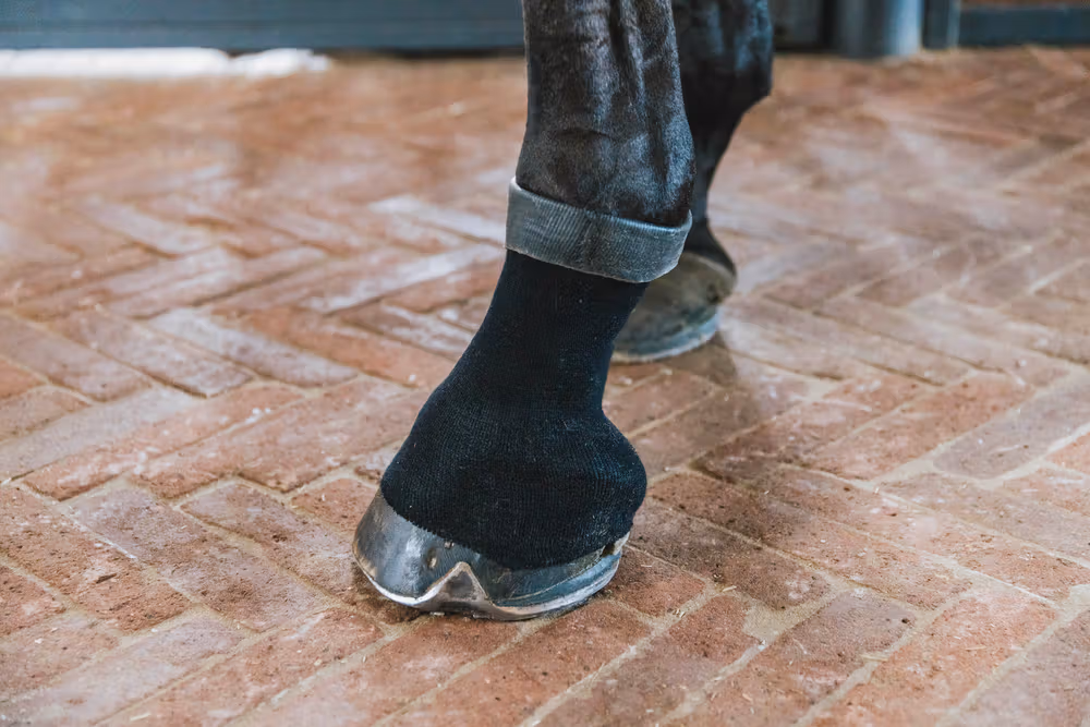 Tendon Grip Gel sock Black