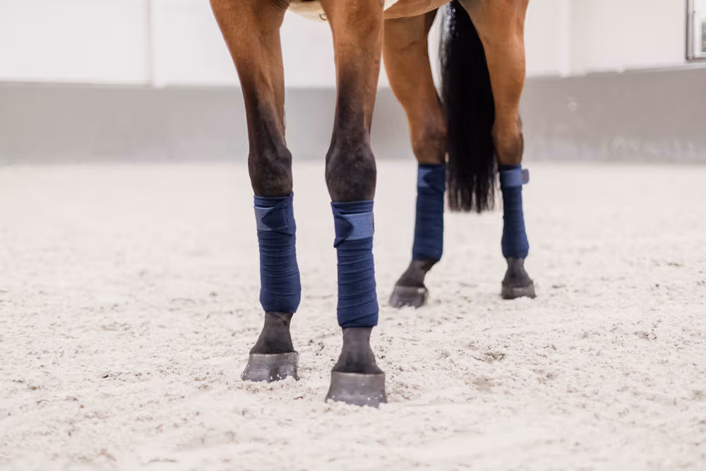 Polar Fleece glitter bandage navy