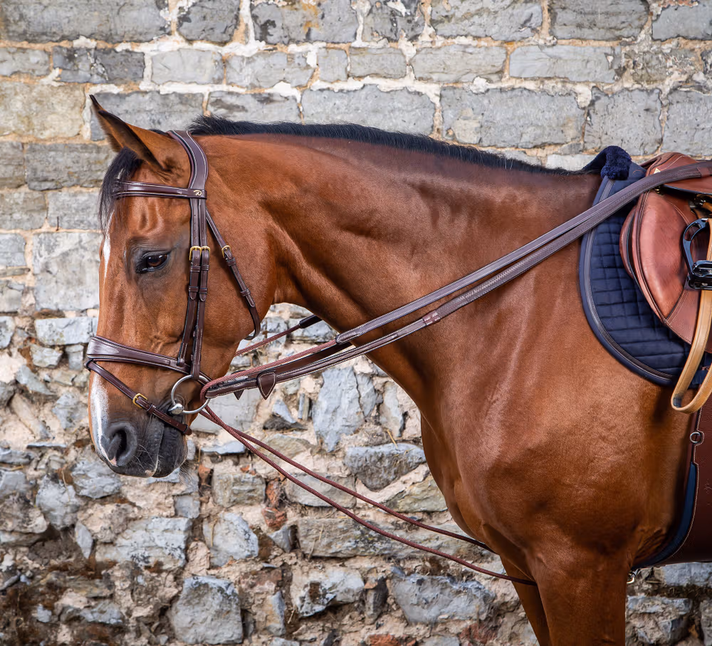 Leather/Nylon Draw Reins 5/8