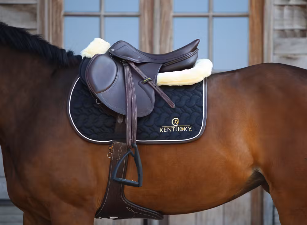 Stud girth brown 130 cm