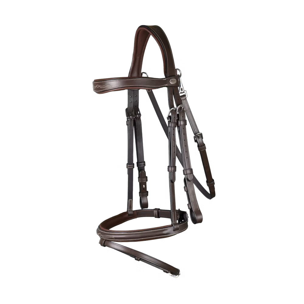 Flash Noseband Bridle With Snap Hook