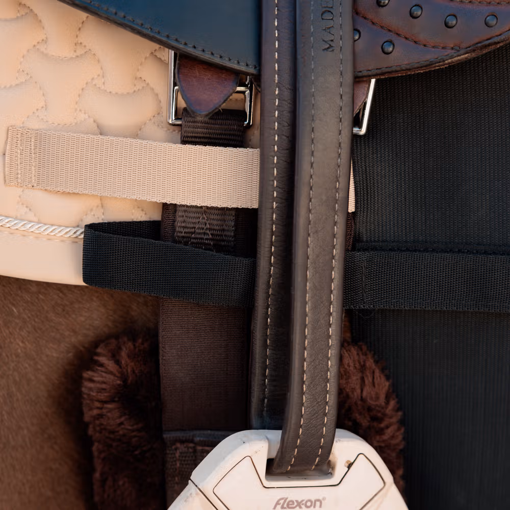 Belly band horse Full black