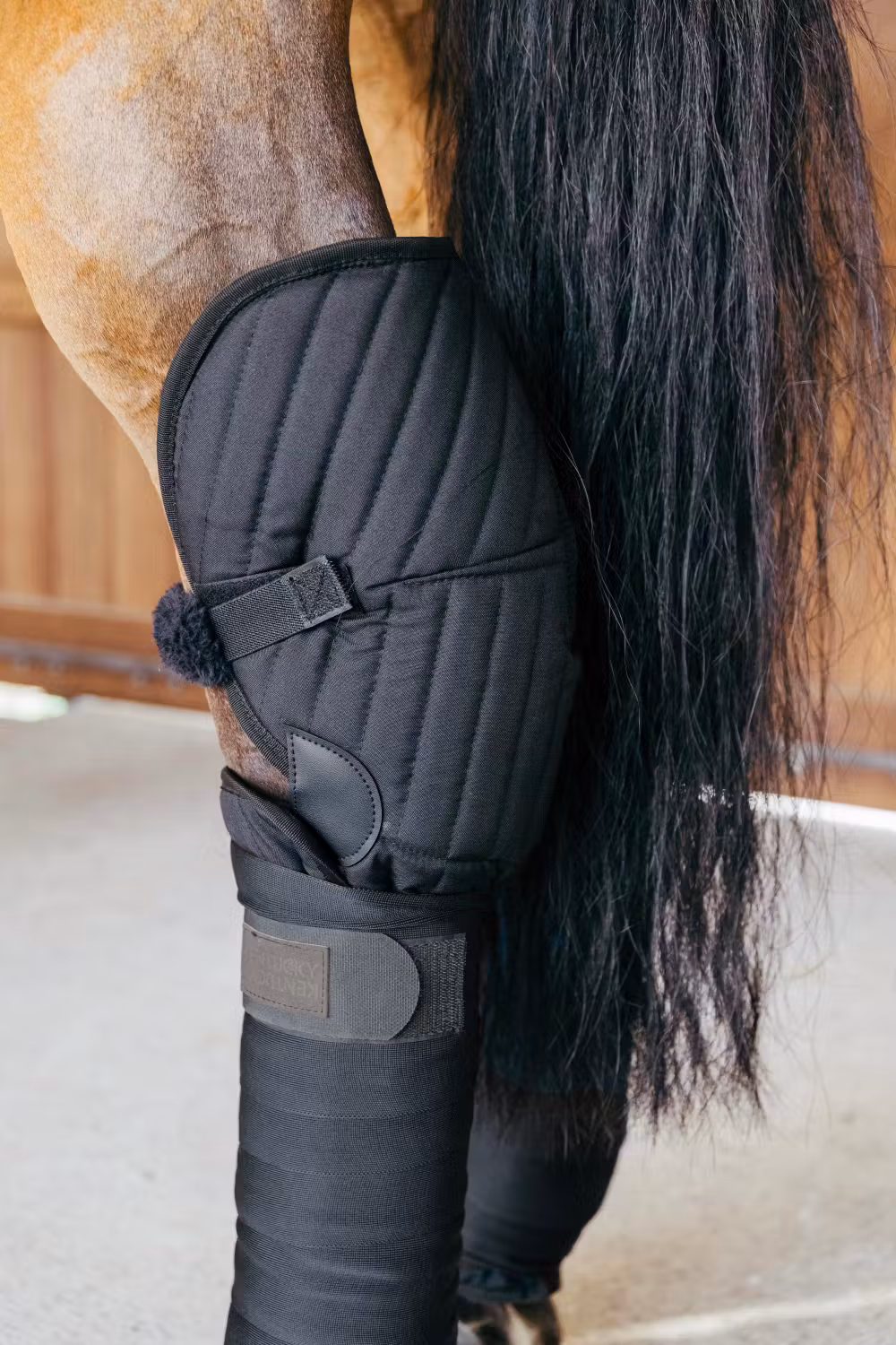 Transport Stable Bandage pad with hock protection Black