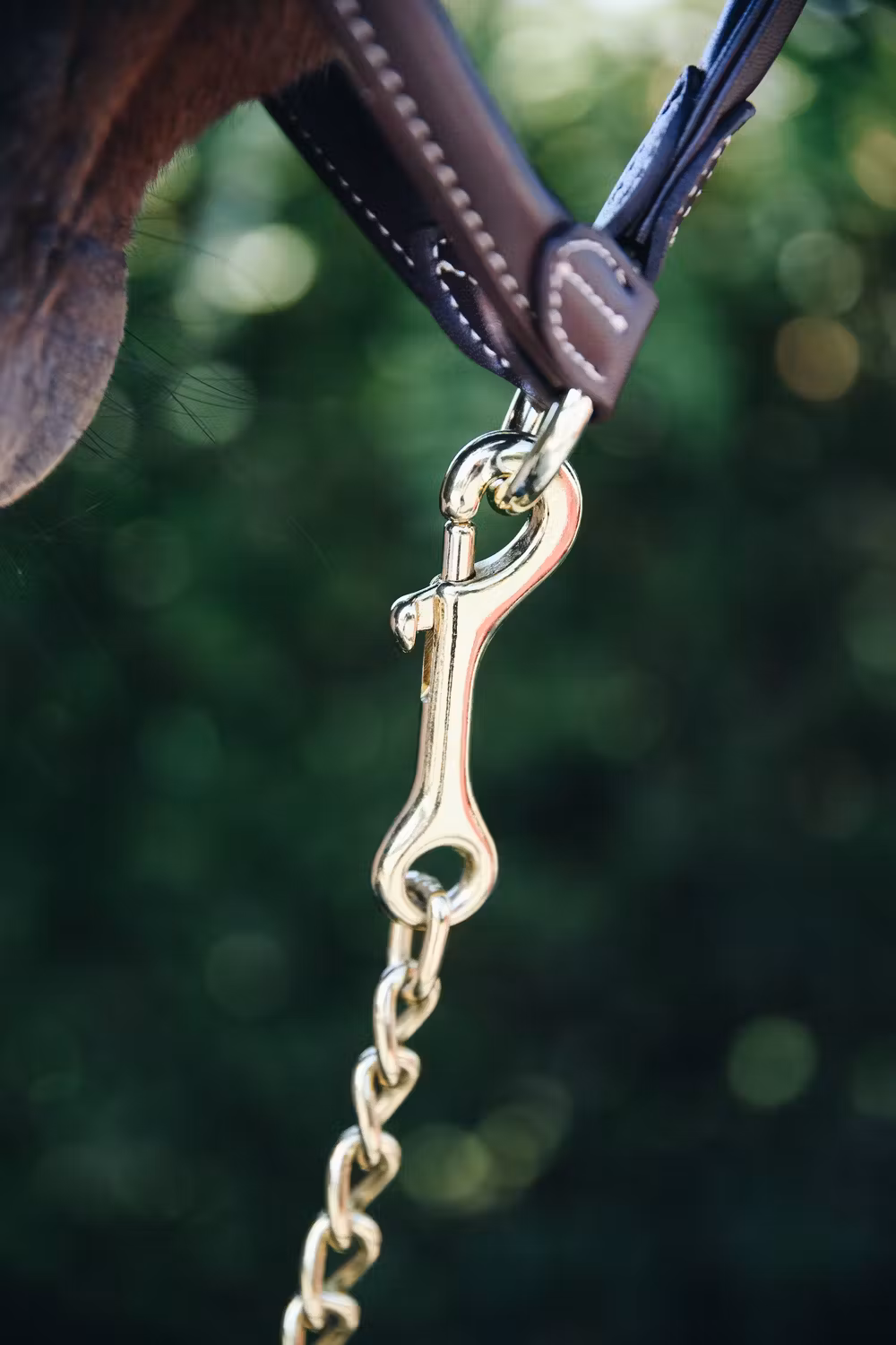 Stallion chain 60 cm