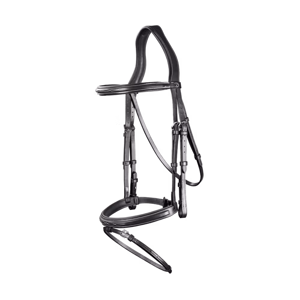 Flash Noseband Bridle