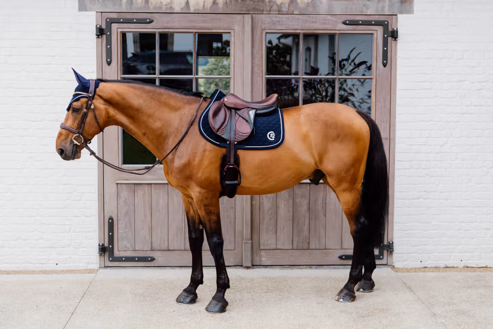 Saddle Pad onion quilt 3D logo jumping navy
